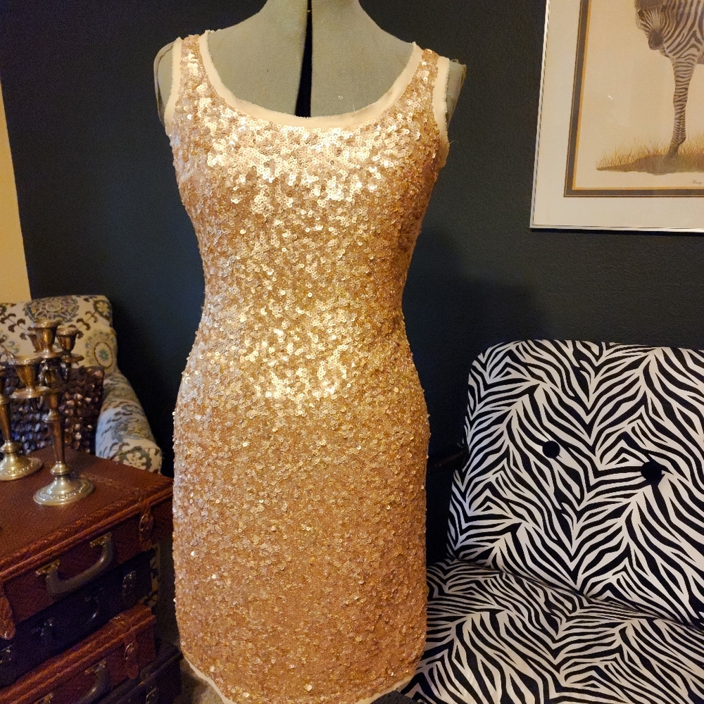 Gorgeous new talbots sequin dress